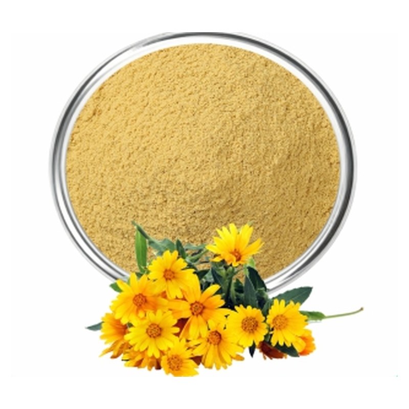 Chrysanthemum Powder