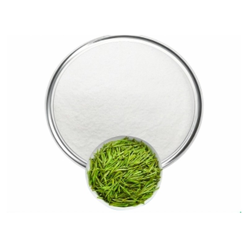Tea L-Theanine