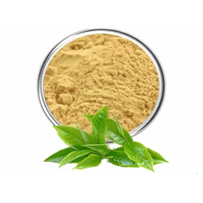Tea Polyphenols